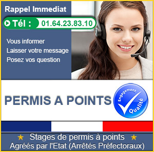 stage permis à point à Fontainebleau